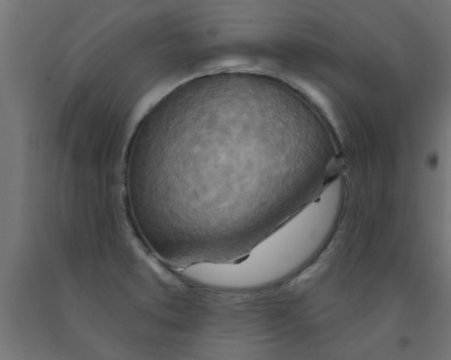 X0000090871373200708241911