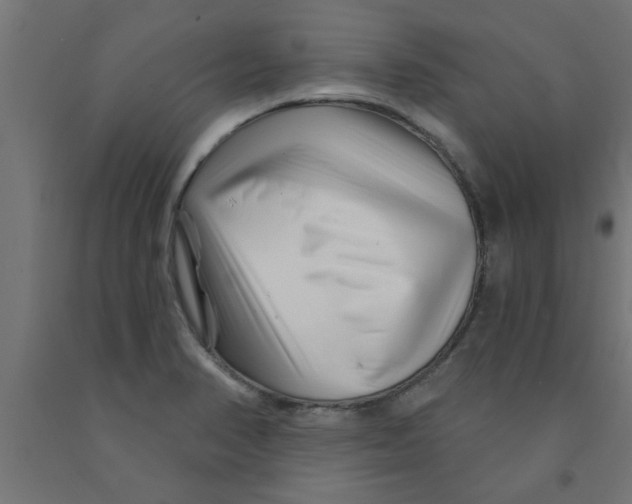 X0000090871374200708241911