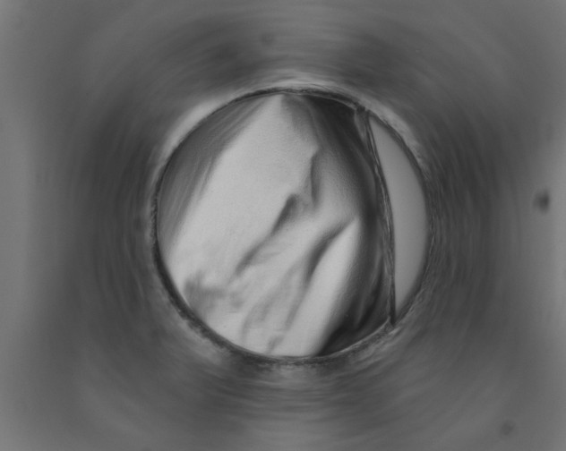 X0000090871375200708241911