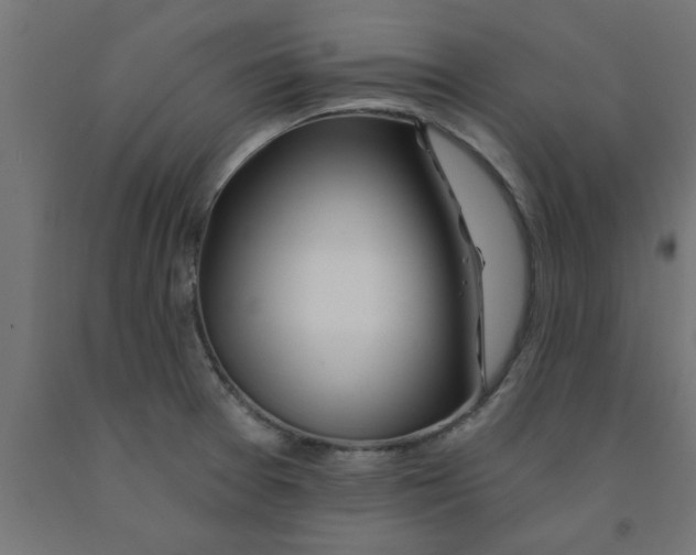 X0000090871377200708241911