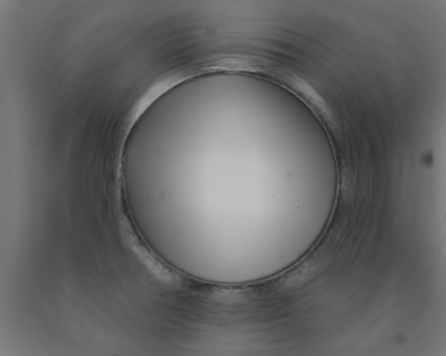 X0000090871378200708241911