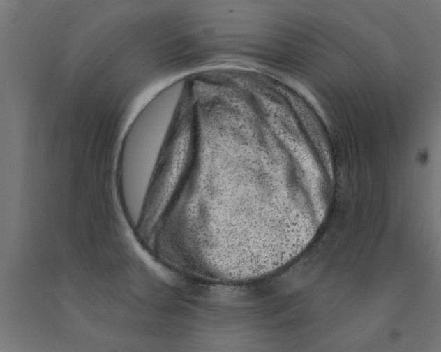 X0000090871379200708241911