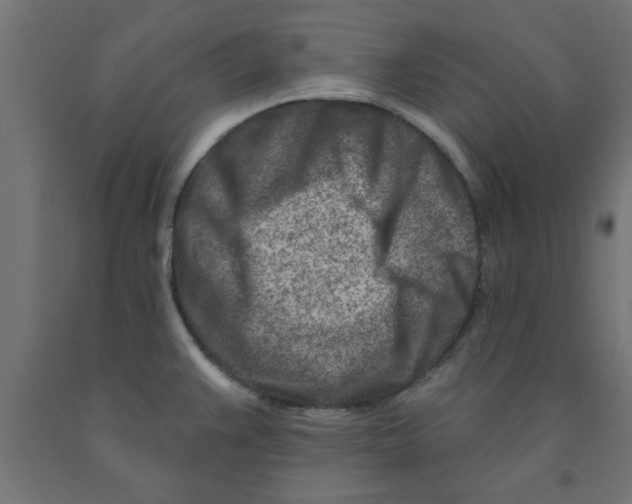 X0000090871383200708241911