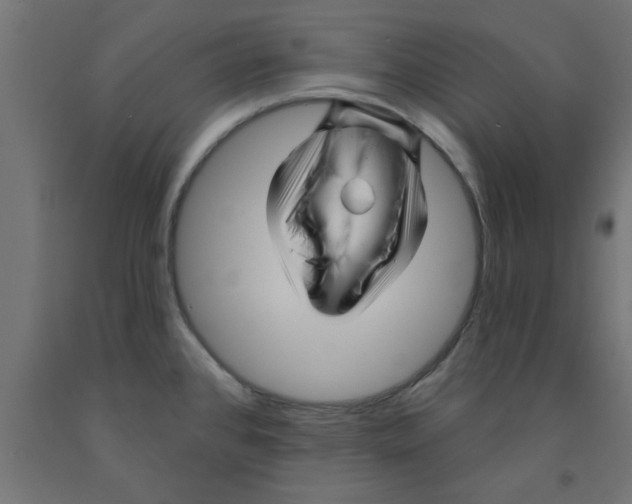 X0000090871384200708241911