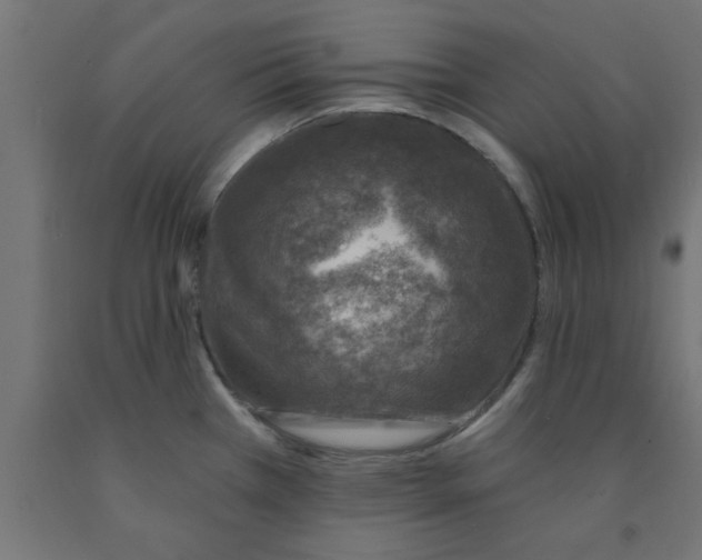 X0000090871385200708241911