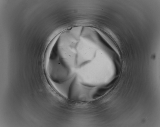 X0000090871386200708241911