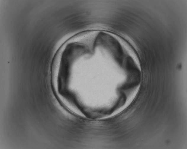 X0000090871387200708241911