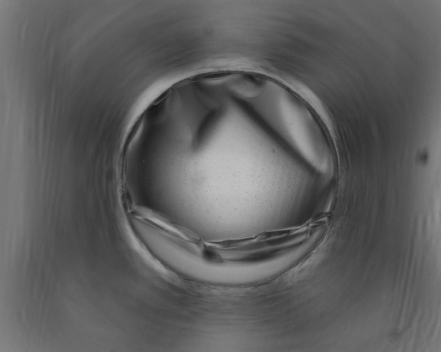 X0000090871389200708241911