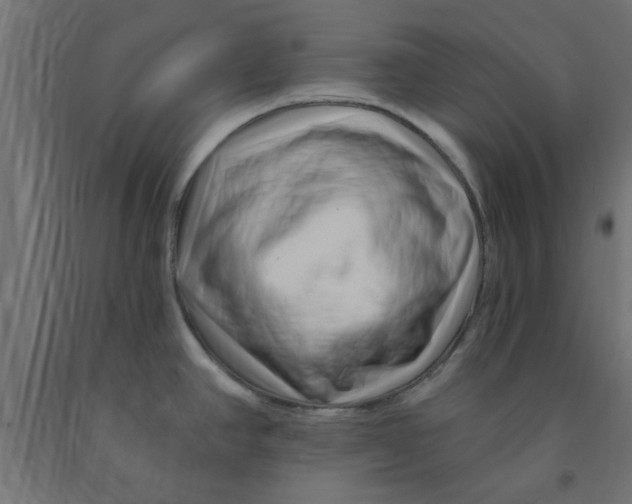 X0000090871390200708241911