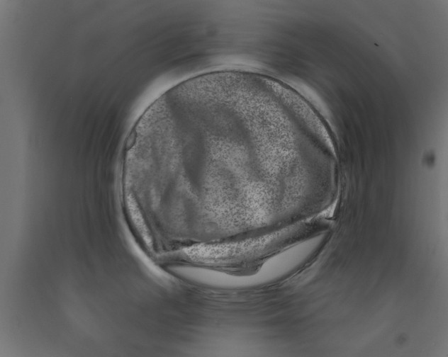 X0000090871391200708241911