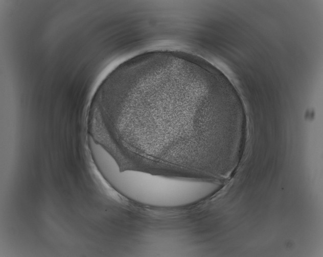 X0000090871392200708241911