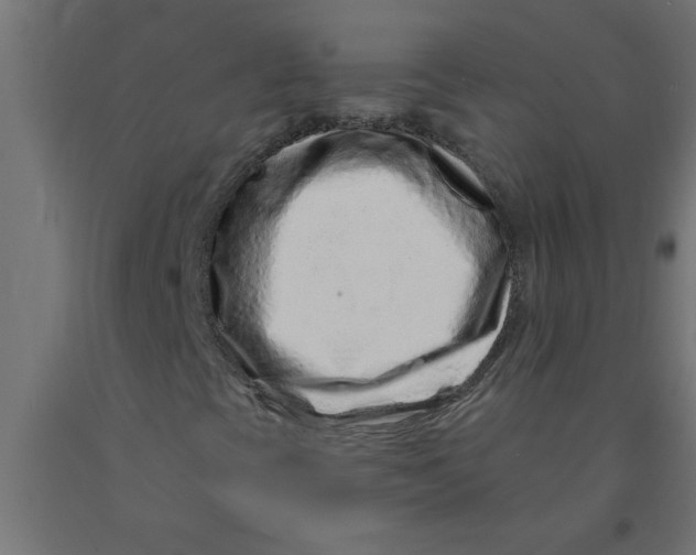 X0000090871393200708241910