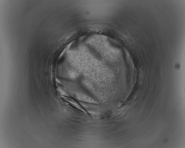 X0000090871394200708241910