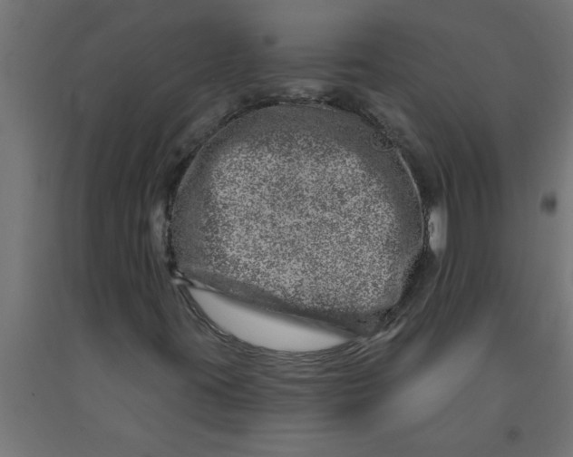 X0000090871395200708241910