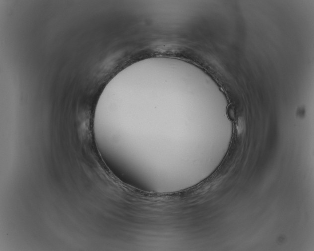 X0000090871396200708241910