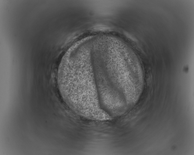 X0000090871397200708241910