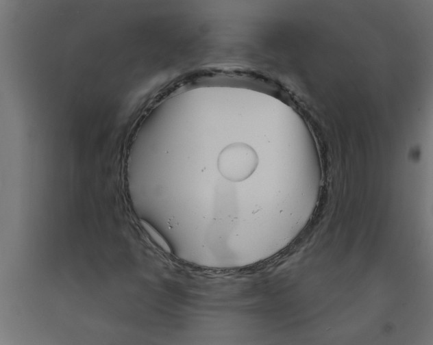 X0000090871398200708241910