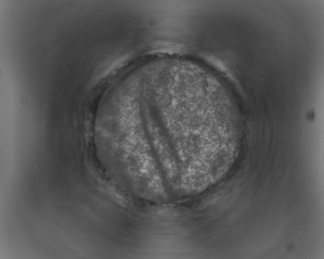 X0000090871399200708241910