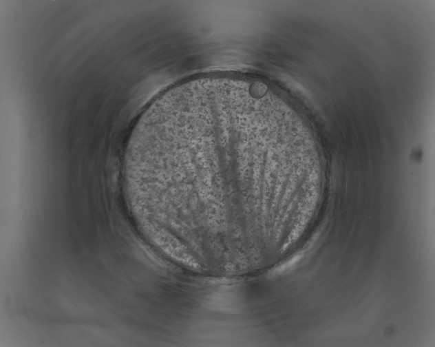 X0000090871401200708241910