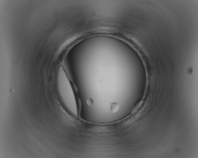 X0000090871402200708241910