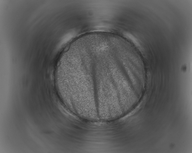 X0000090871403200708241910