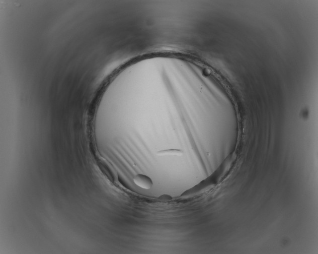 X0000090871404200708241910