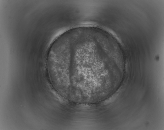 X0000090871405200708241910