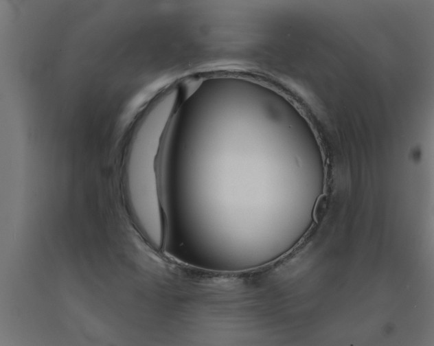 X0000090871406200708241910