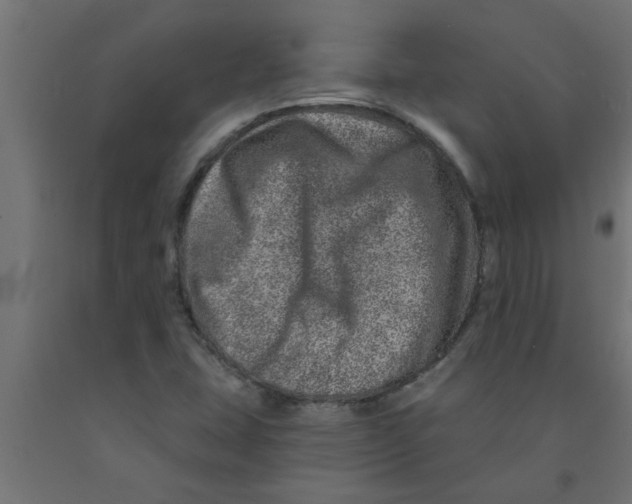 X0000090871407200708241910