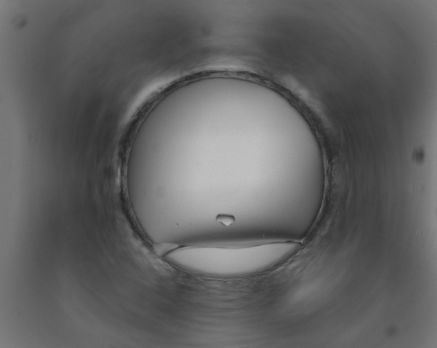 X0000090871408200708241910