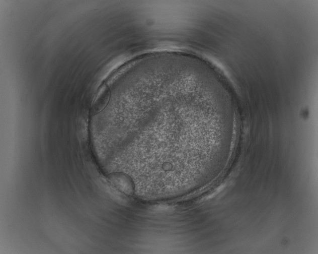 X0000090871409200708241910