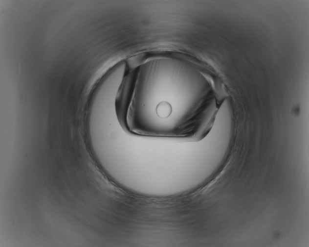 X0000090871410200708241911