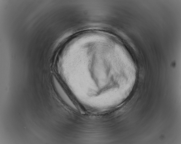 X0000090871411200708241911