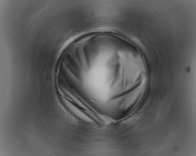 X0000090871412200708241911