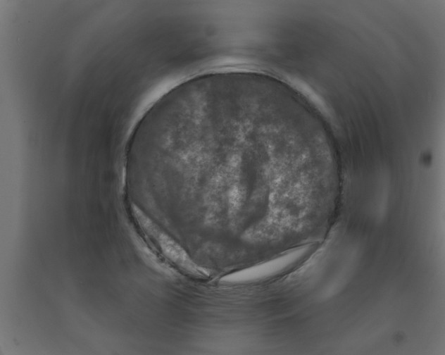 X0000090871413200708241911