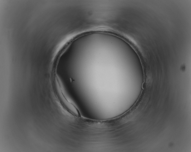 X0000090871414200708241911