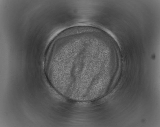 X0000090871415200708241911