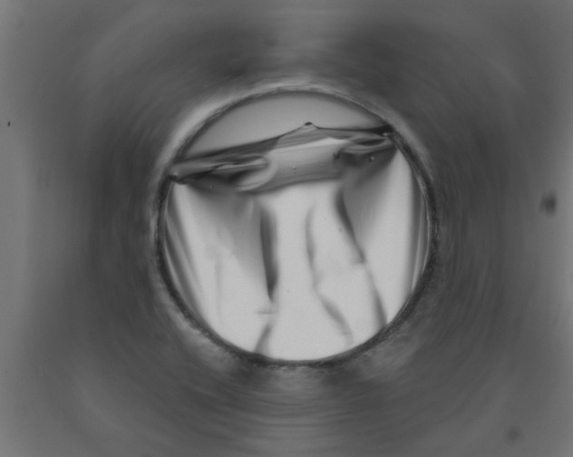 X0000090871416200708241911