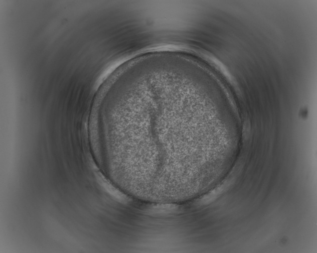 X0000090871417200708241911