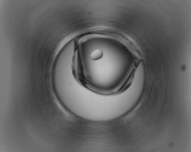 X0000090871418200708241911