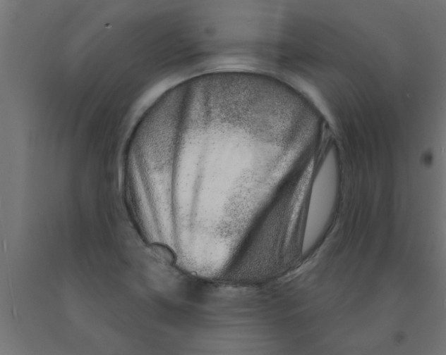 X0000090871419200708241911