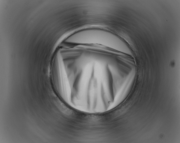 X0000090871420200708241911