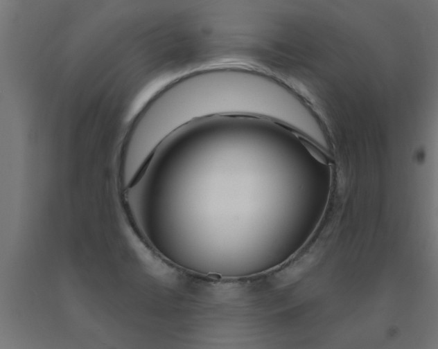 X0000090871422200708241911