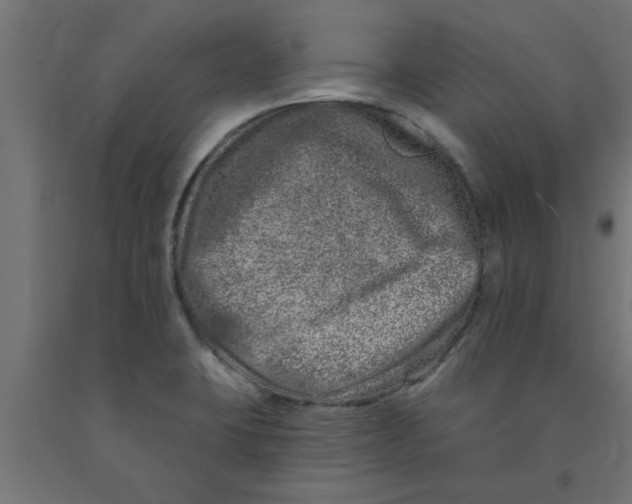 X0000090871423200708241911