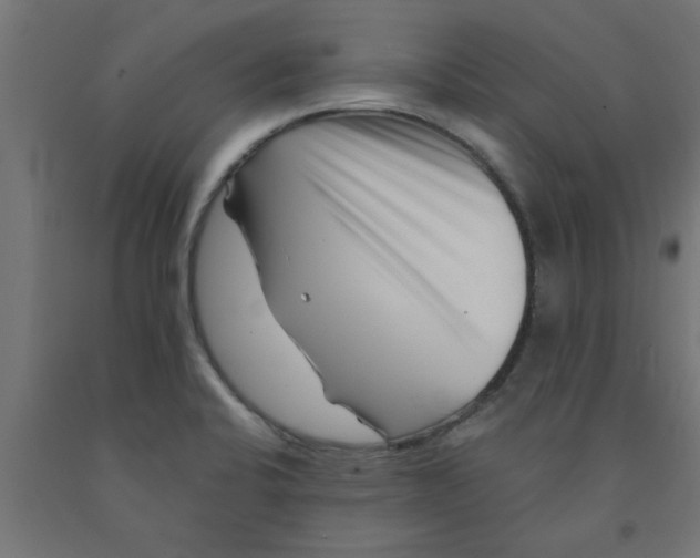 X0000090871424200708241911