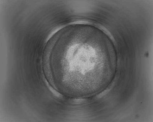 X0000090871425200708241911