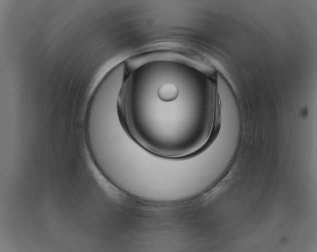 X0000090871426200708241911