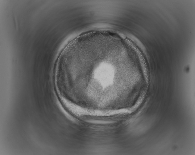 X0000090871429200708241911