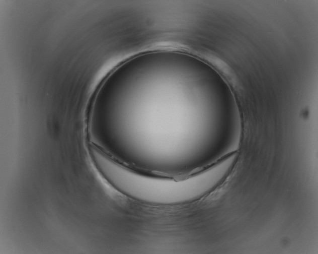 X0000090871430200708241911