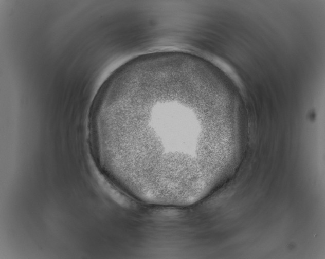 X0000090871431200708241911